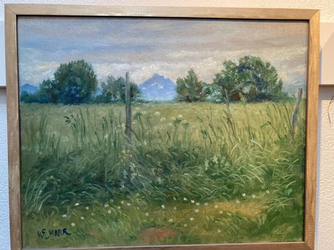 Hovedbilde Sommer